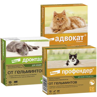 Антигельминтные препараты