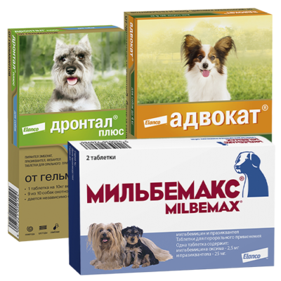 Антигельминтные препараты