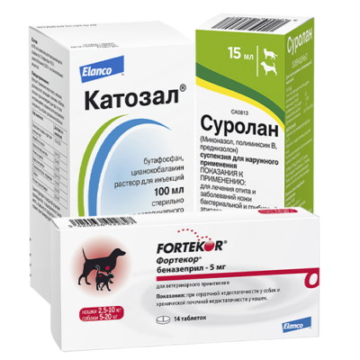 Заболевания органов