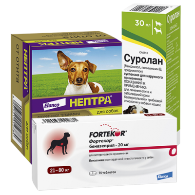 Заболевания органов
